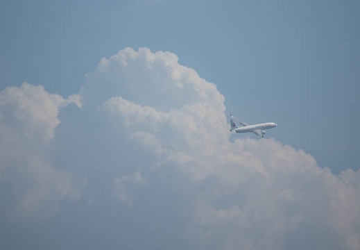 201607141501-DSC05064RX10M3.jpg