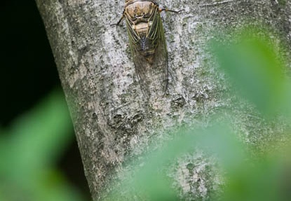 201607151507-DSC05343RX10M3.jpg