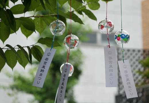 201607161530-DSC05423RX10M3.jpg