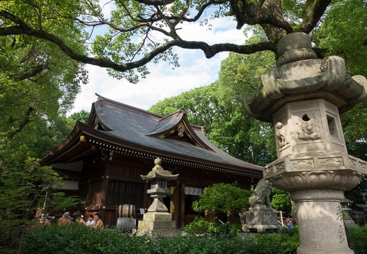 201607161536-DSC05440RX10M3.jpg