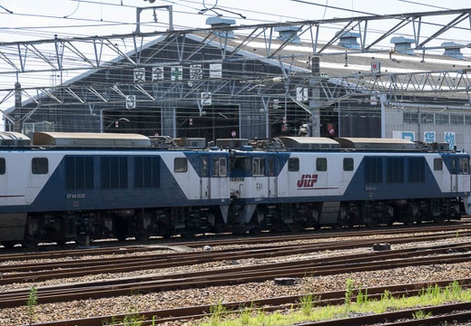 201607180949-DSC05463RX10M3.jpg