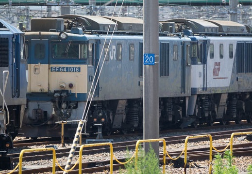 201607180950-DSC05468RX10M3.jpg