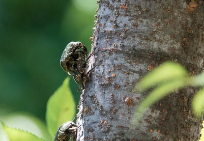 201607201208-DSC06082RX10M3.jpg