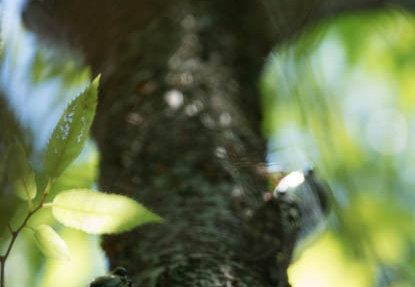 201607201210-DSC06090RX10M3.jpg