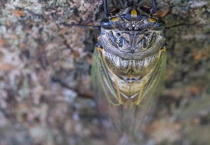 201607231346-DSC06448RX10M3.jpg