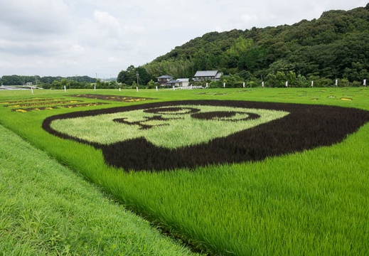 201607281116-DSC06736RX10M3.jpg
