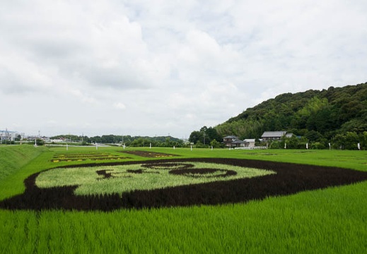 201607281128-DSC06774RX10M3.jpg
