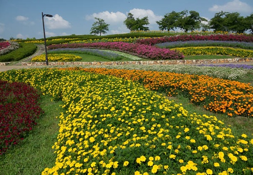 201608010901-DSC06888RX10M3.jpg