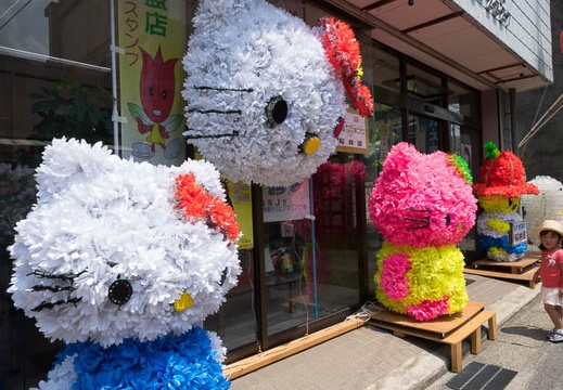 201608061133-DSC07157RX10M3.jpg