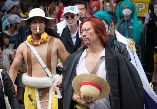 201608071136-DSC07317RX10M3.jpg