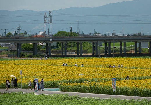 201608091129-DSC07769RX10M3.jpg