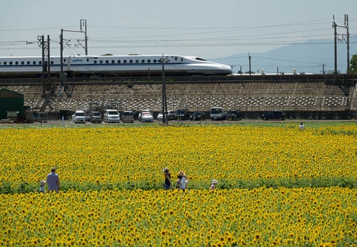 201608091132-DSC07780RX10M3.jpg