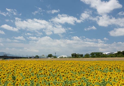 201608091145-DSC07811RX10M3.jpg