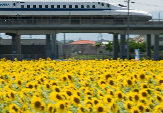 201608091256-DSC07937RX10M3.jpg