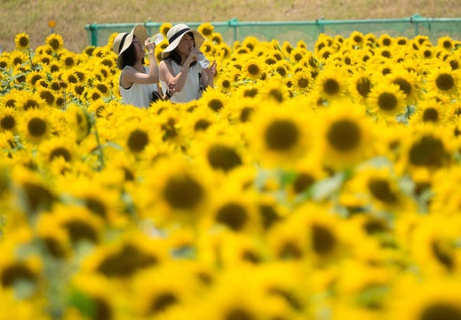 201608091257-DSC07939RX10M3.jpg