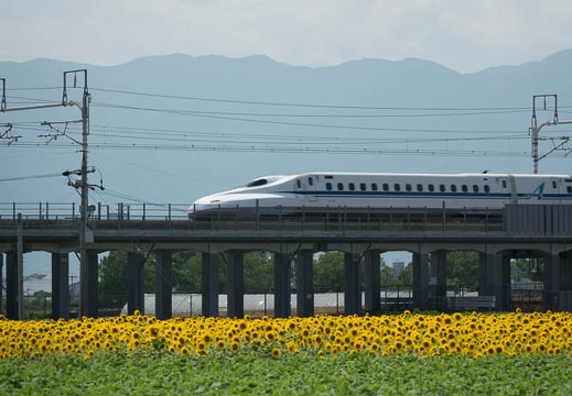 201608091321-DSC07970RX10M3.jpg