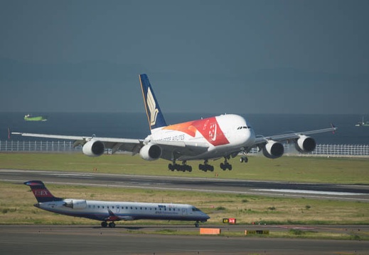 201608100800-DSC08078RX10M3.jpg