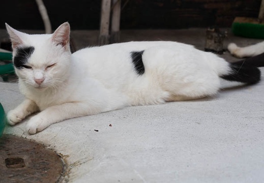 201609031303-DSC05337N6.jpg