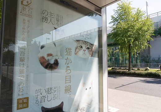 201609031332-DSC05346N6.jpg