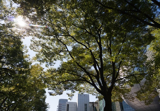 201609091420-DSC05357N6.jpg