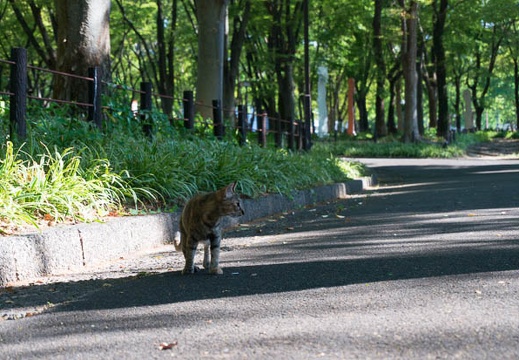 201609091439-DSC05400N6.jpg