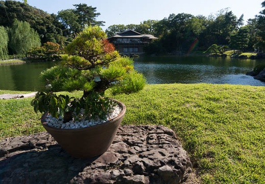 201609091521-DSC05407N6.jpg