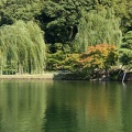 201609091523-DSC05410N6.jpg