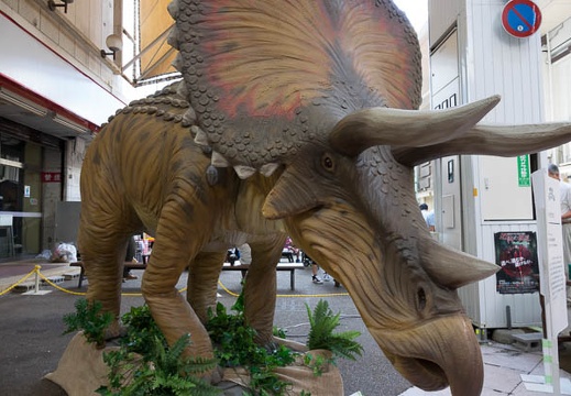 201609101312-DSC00023RX10M3.jpg