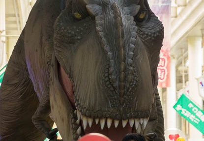201609101317-DSC00044RX10M3.jpg