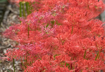201609271416-DSC00957RX10M3.jpg