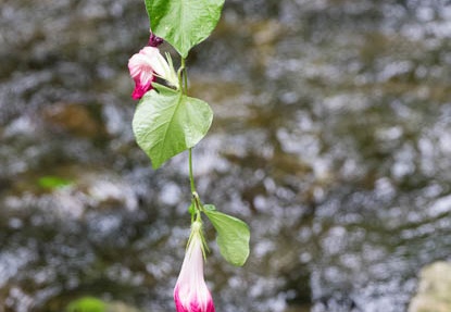 201609271439-DSC01042RX10M3.jpg