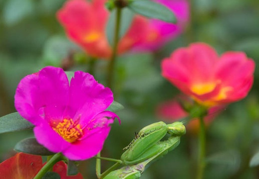 201609301236-DSC01046RX10M3.jpg