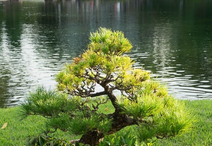 201610091634-DSC02474RX10M3.jpg