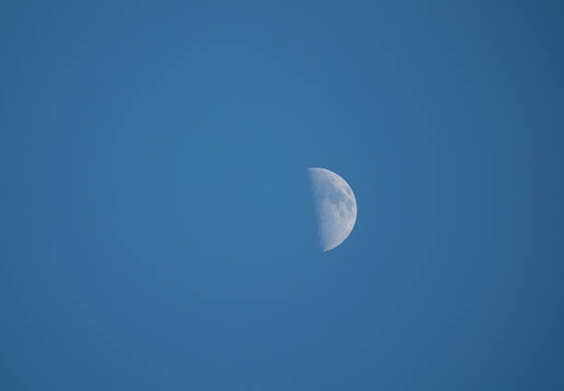 201610091645-DSC02476RX10M3.jpg