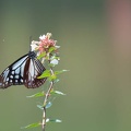 201610101130-DSC02538RX10M3.jpg