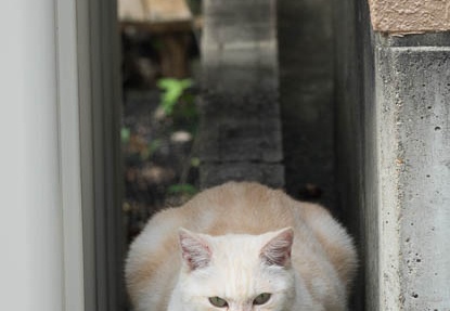 201610231207-DSC04476RX10M3.jpg