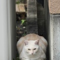 201610231207-DSC04476RX10M3.jpg
