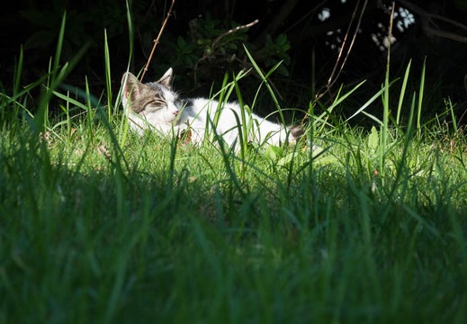 201610261107-DSC04508RX10M3.jpg