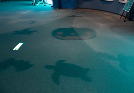201610261354-DSC04646RX10M3.jpg