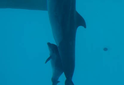 201610261355-DSC04650RX10M3.jpg