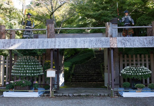 201610271111-DSC04724RX10M3.jpg