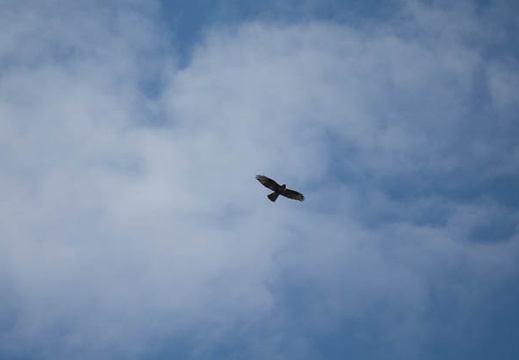 201610271337-DSC04823RX10M3.jpg