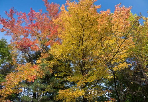 201611111352-DSC07095RX10M3.jpg