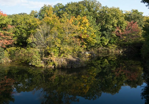 201611111441-DSC07174RX10M3.jpg