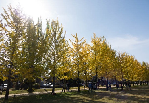 201611131235-DSC07590RX10M3.jpg