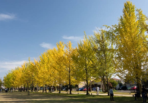 201611131259-DSC07641RX10M3.jpg