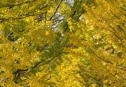 201611131301-DSC07644RX10M3.jpg