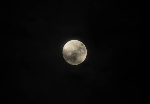201611132010-DSC07745.jpg