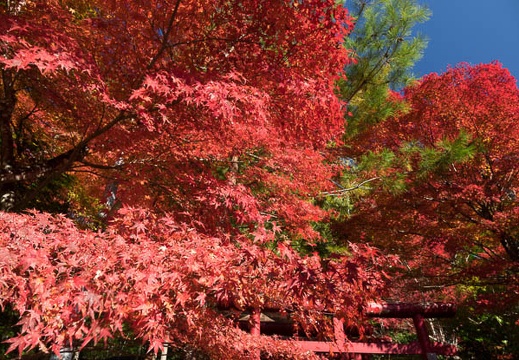 11.16 岩屋堂公園