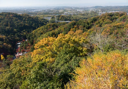 201611161135-DSC07871RX10M3.jpg